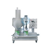 DCS30GYFB Automatic Filling Machine with Capping for Inks/Paint-G023