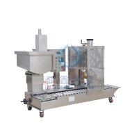 DCS30GY Automatic Drum Filling Machine for Paint/Coating-G026