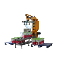 HX-ZDMDR Robot Palletizer / Stacker Crane