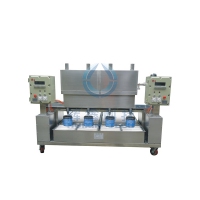 DCS30BFB4 Four  Heads Automatic Paint Liquid Filling Machine for Daily Chemical-G039